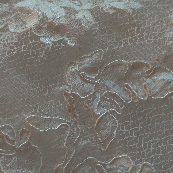 Enzoani Lace Diana  Ivory Wedding Dress, size 8. - Picture 10 of 12